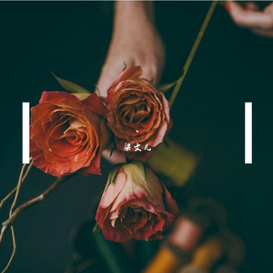 火战外网版下载
